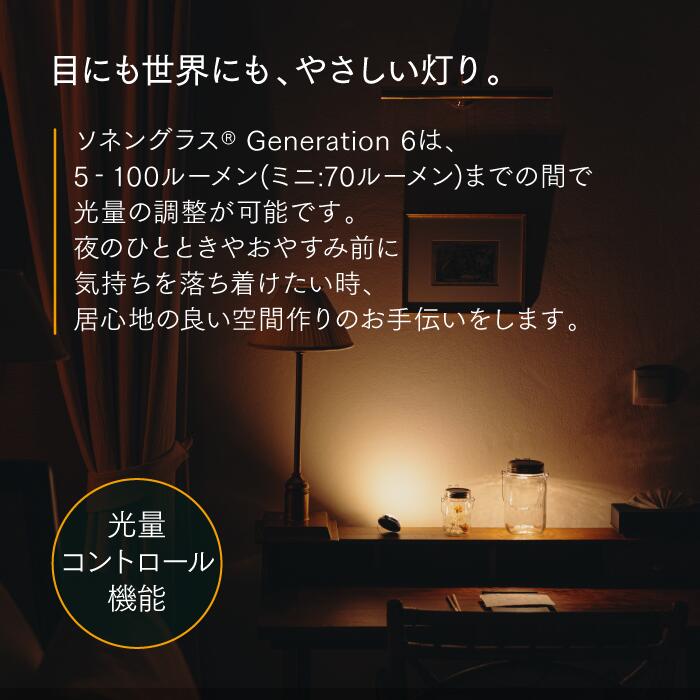 ソネングラス®︎ Generation6 ミニ 250ml – ソネングラスジャパン公式 